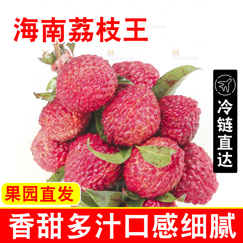 白底上的荔枝王