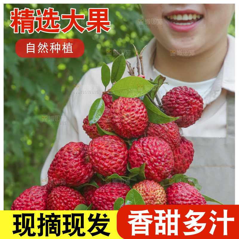手里拿着荔枝王