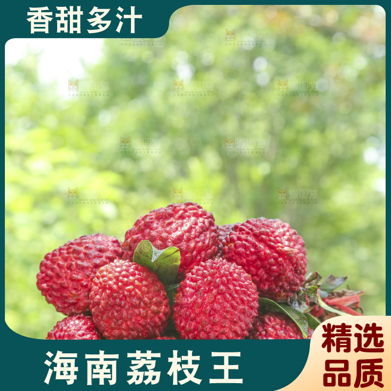 手里拿着荔枝王