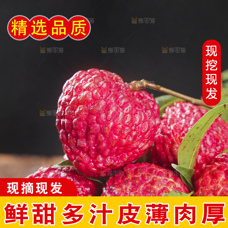 深底上的荔枝王