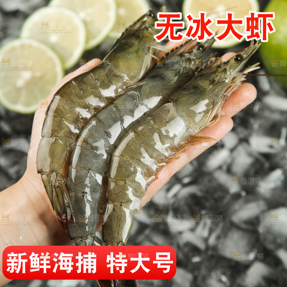 大青虾主图