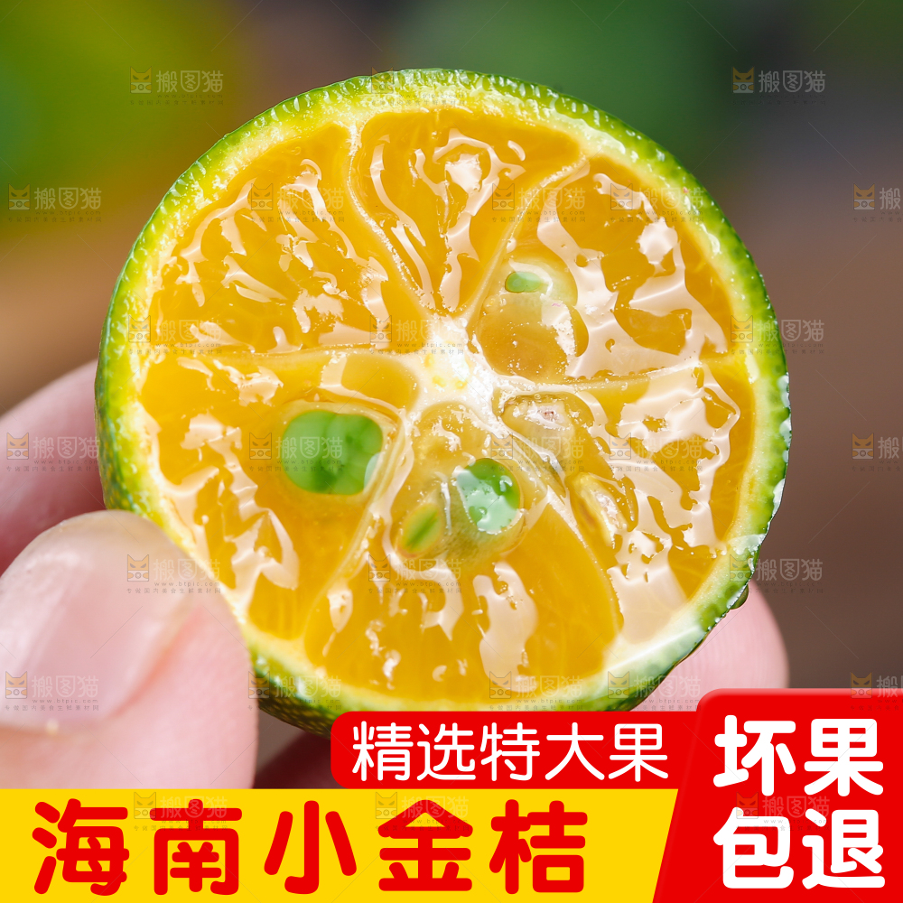 小青桔主图