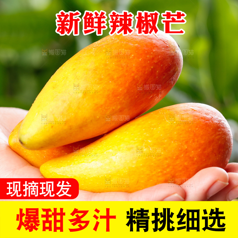 浅底上的辣椒芒
