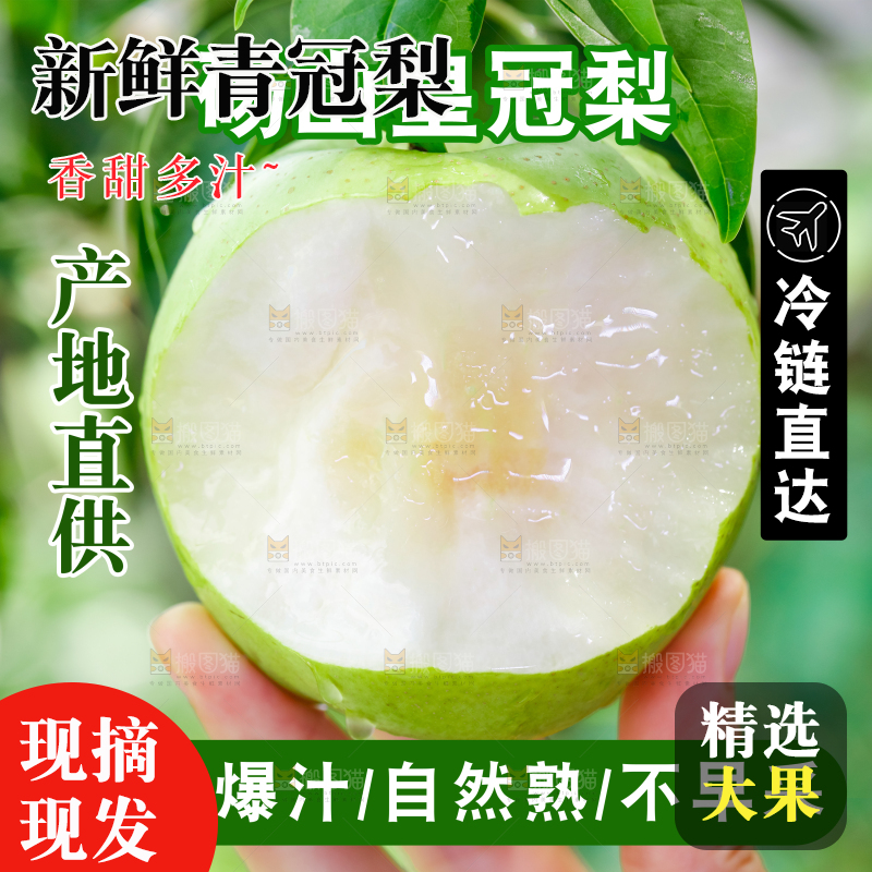 青冠梨主图