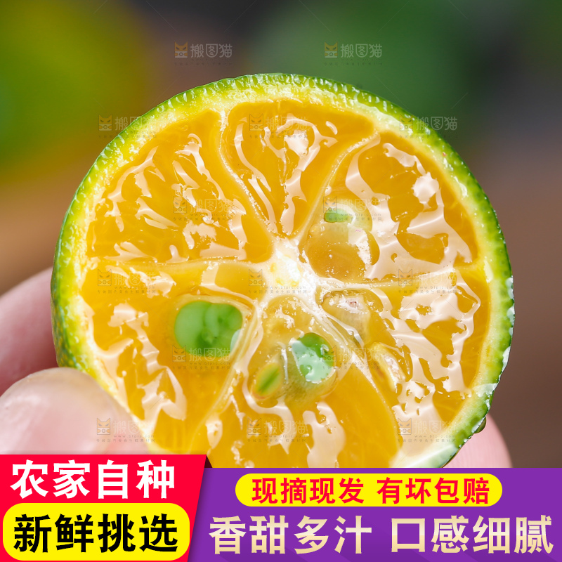 深底上的小青桔