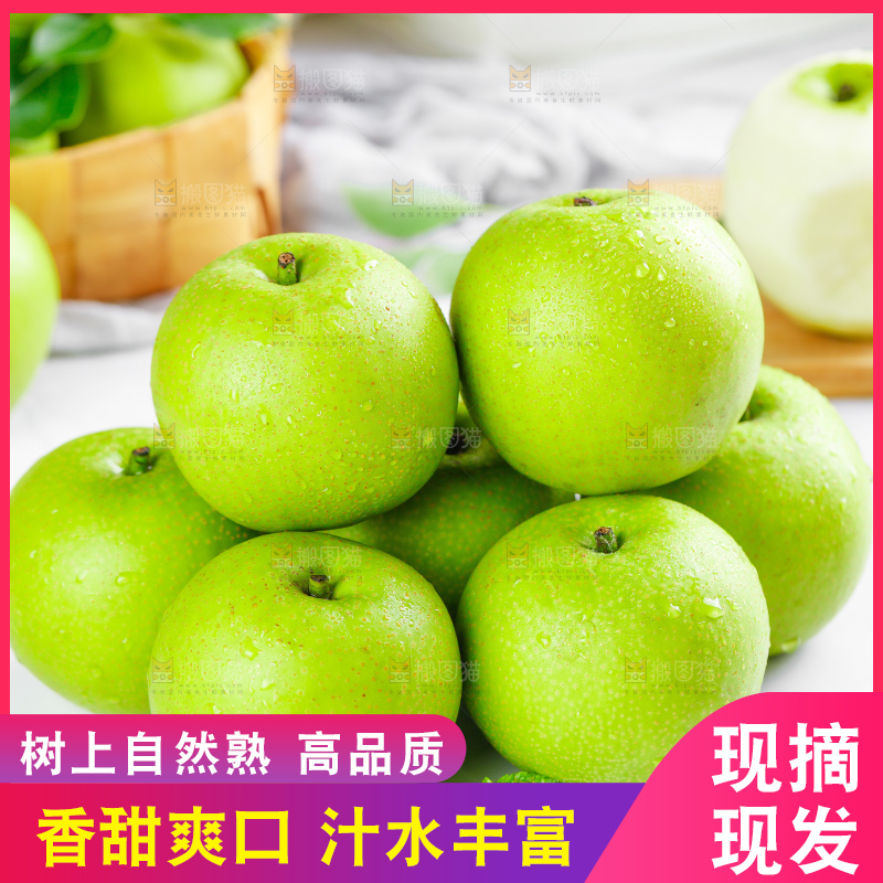 浅底上的青冠梨