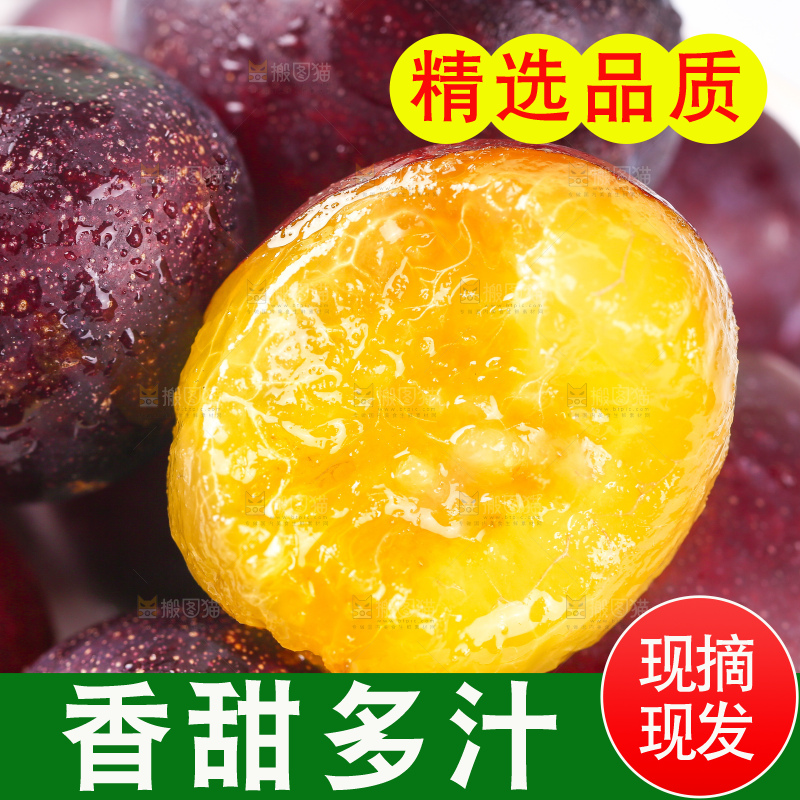 浅底上的西梅