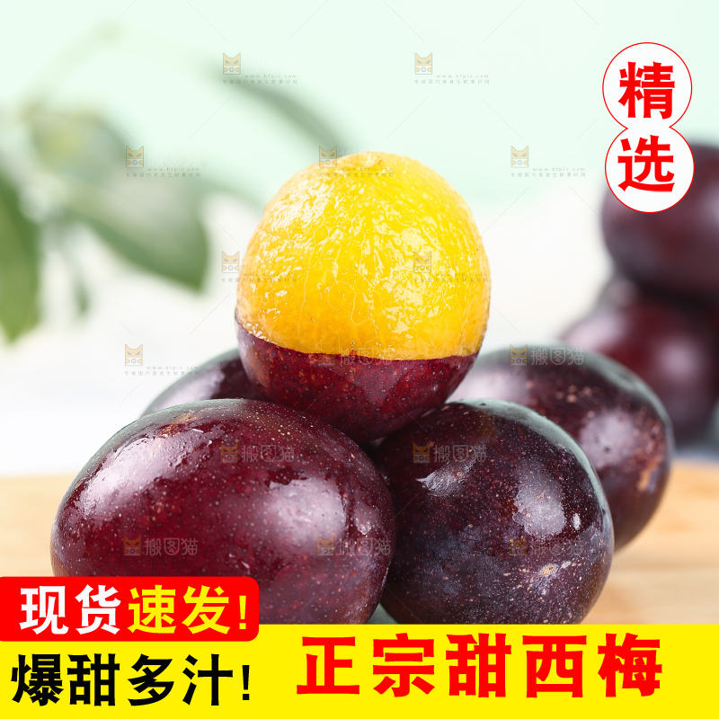 浅底上的西梅