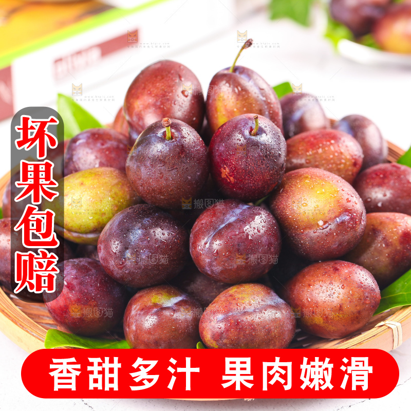 浅底上的西梅