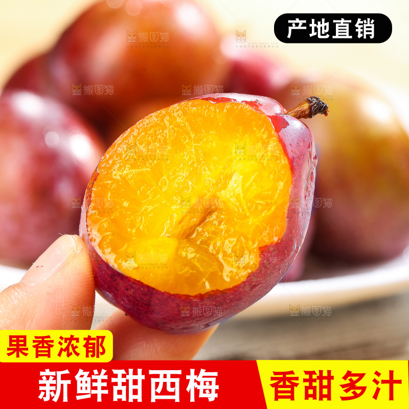浅底上的西梅