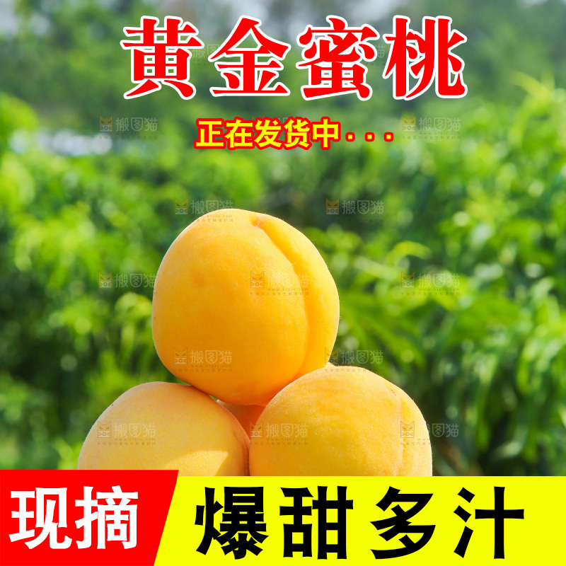 手里拿着黄蜜桃