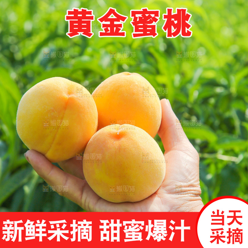 手里拿着黄蜜桃