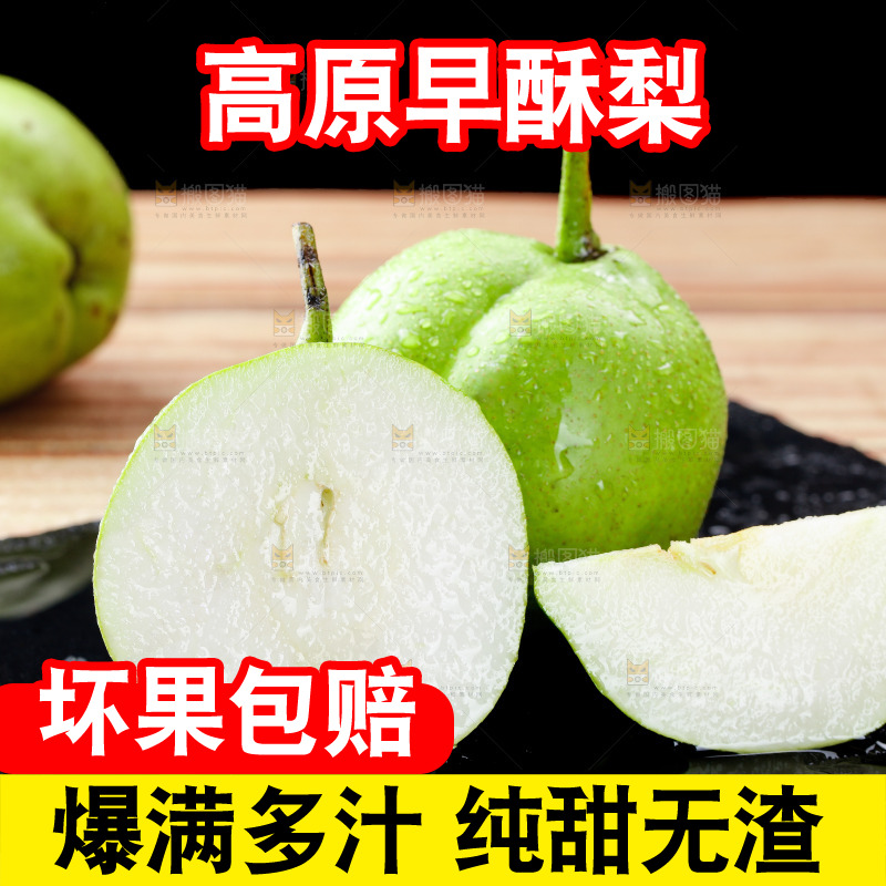 浅底上的早酥梨