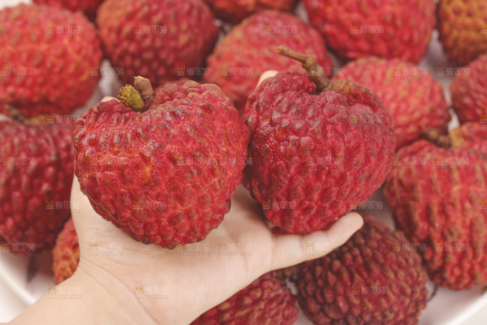 手里拿着荔枝王