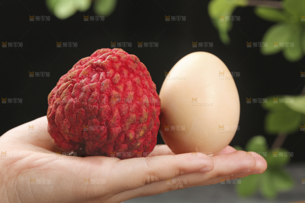 荔枝王