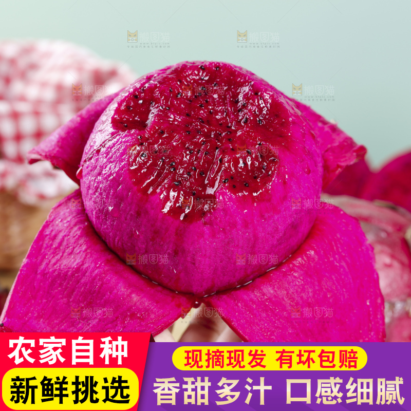 浅底上的红心火龙果