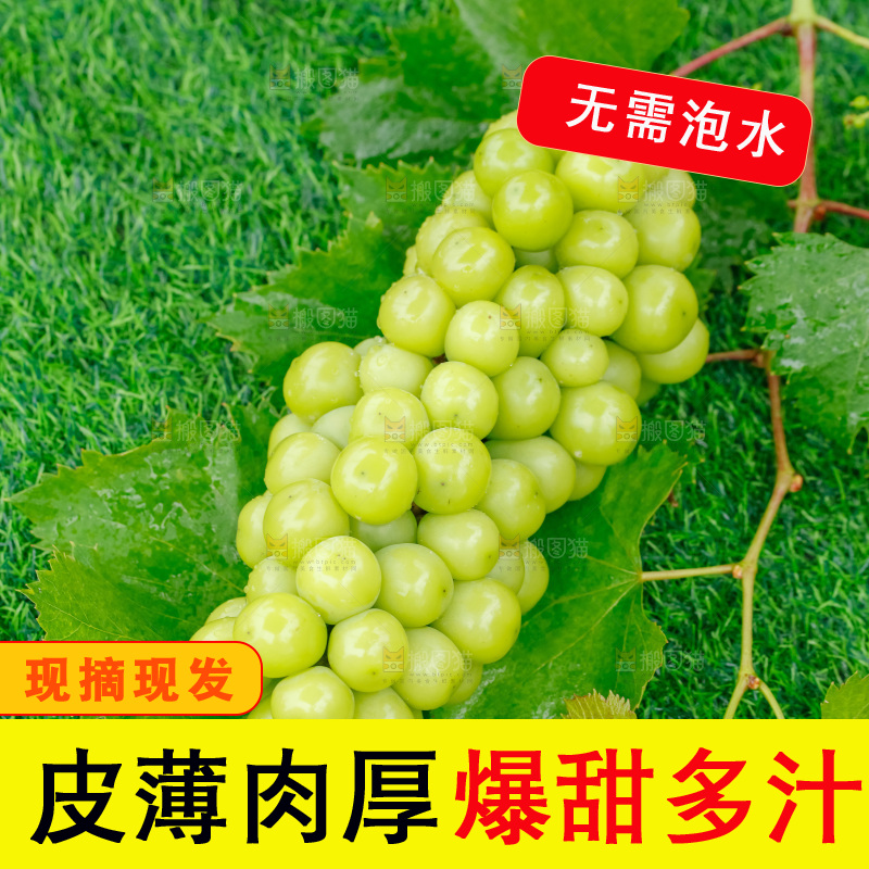 草地上放着阳光玫瑰青提