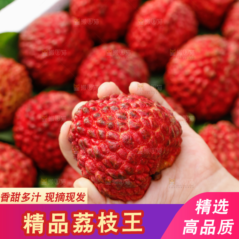 手里拿着荔枝王