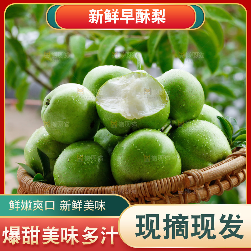 手里拿着早酥梨