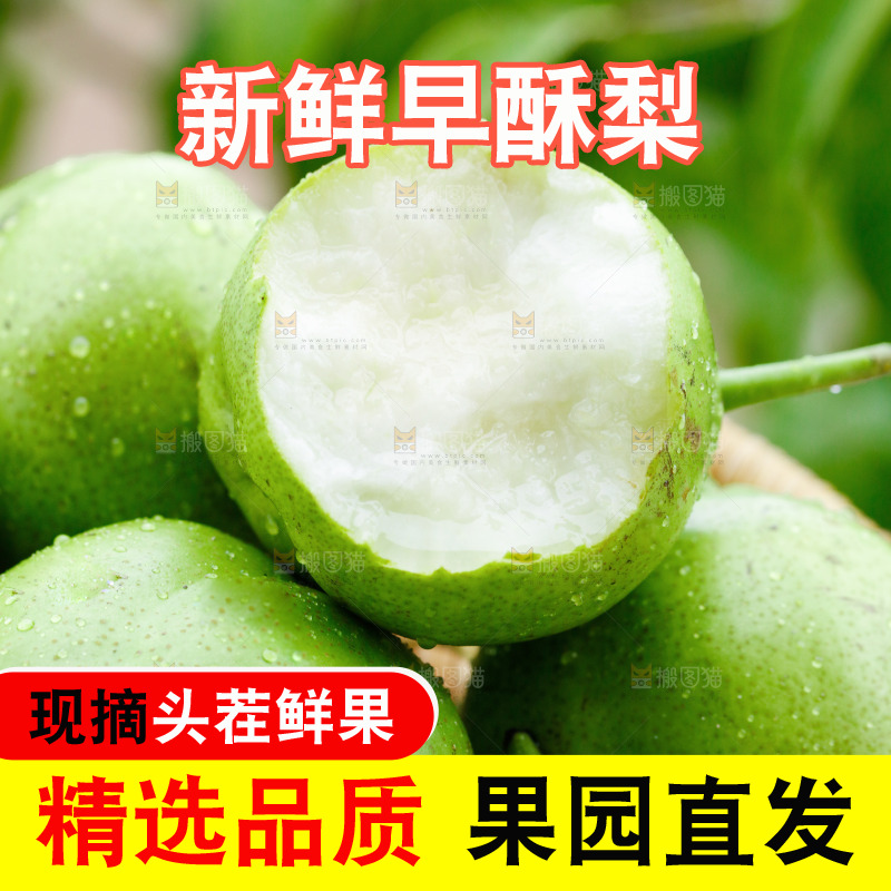 手里拿着早酥梨
