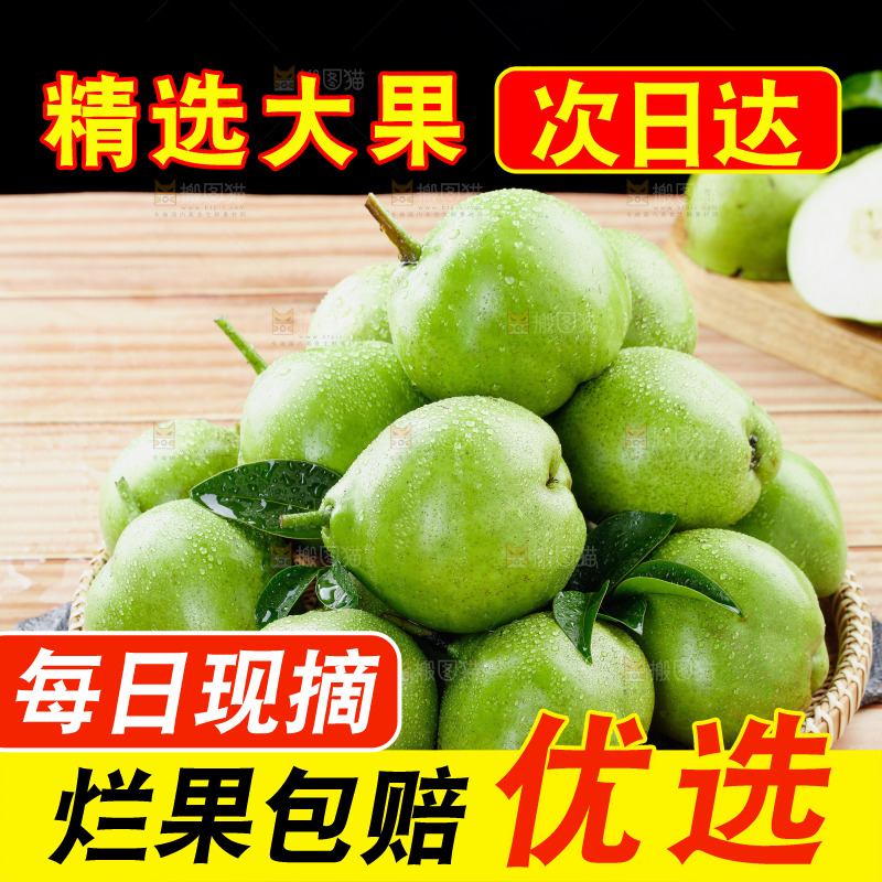 浅底上的早酥梨