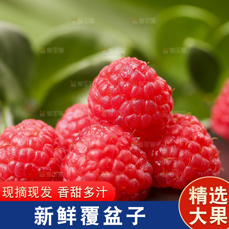 浅底上的新鲜覆盆子