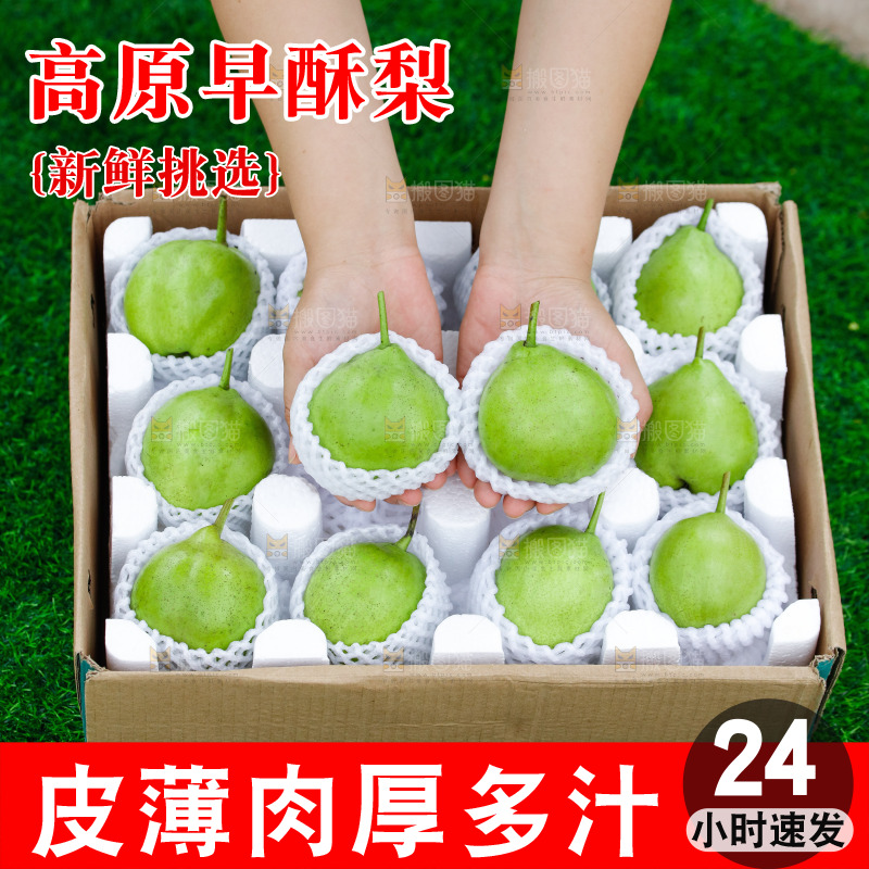 手里拿着早酥梨