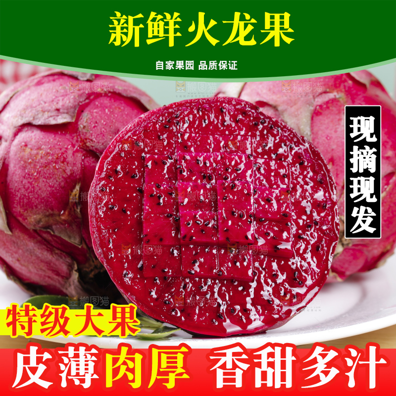 浅底上的红心火龙果