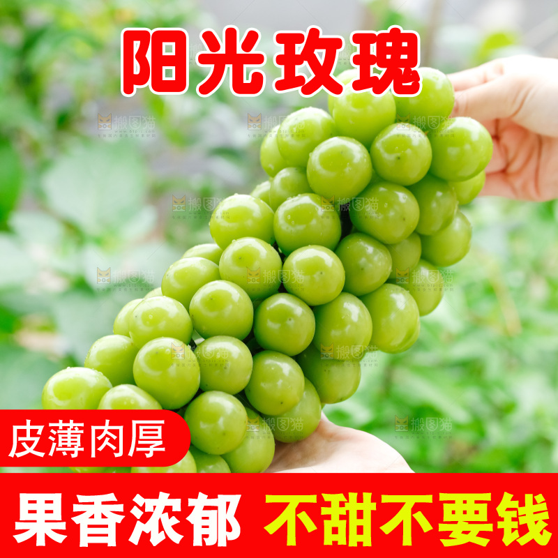 手里拿着阳光玫瑰