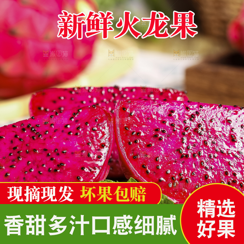 浅底上的红心火龙果