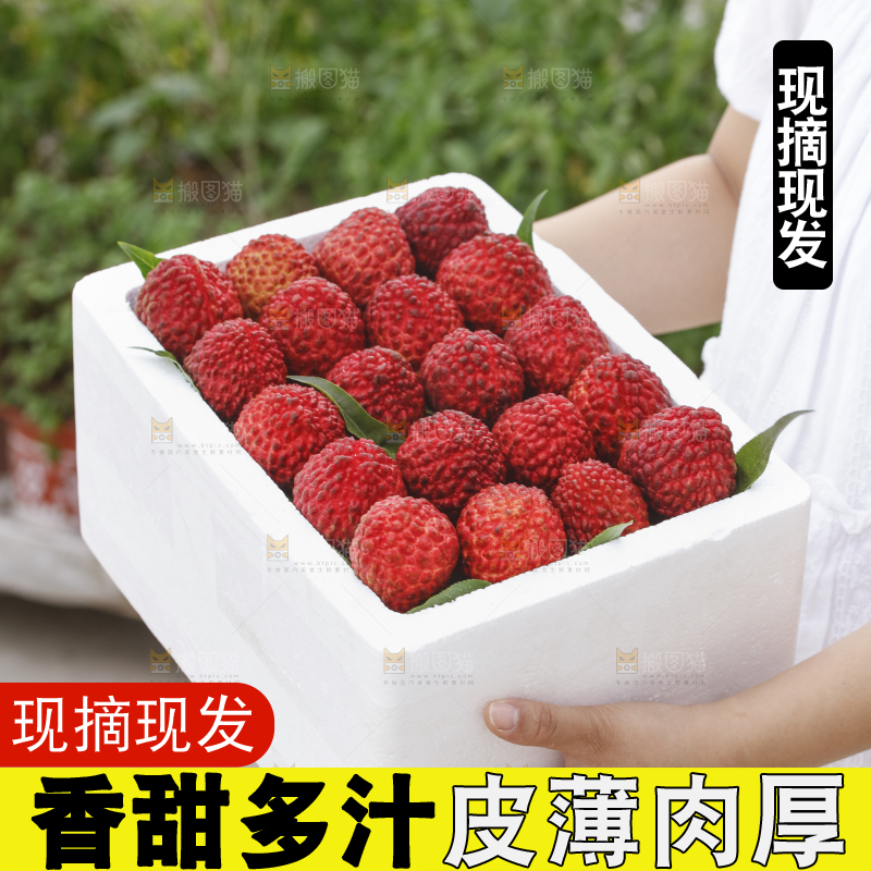 手里拿着荔枝王