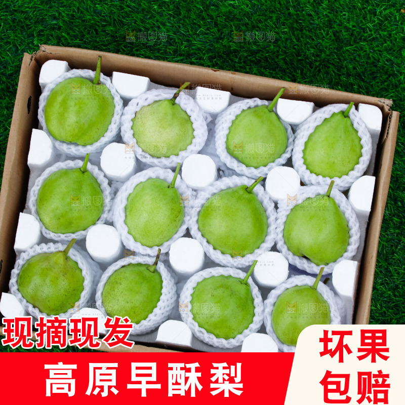 草地上的一箱早酥梨