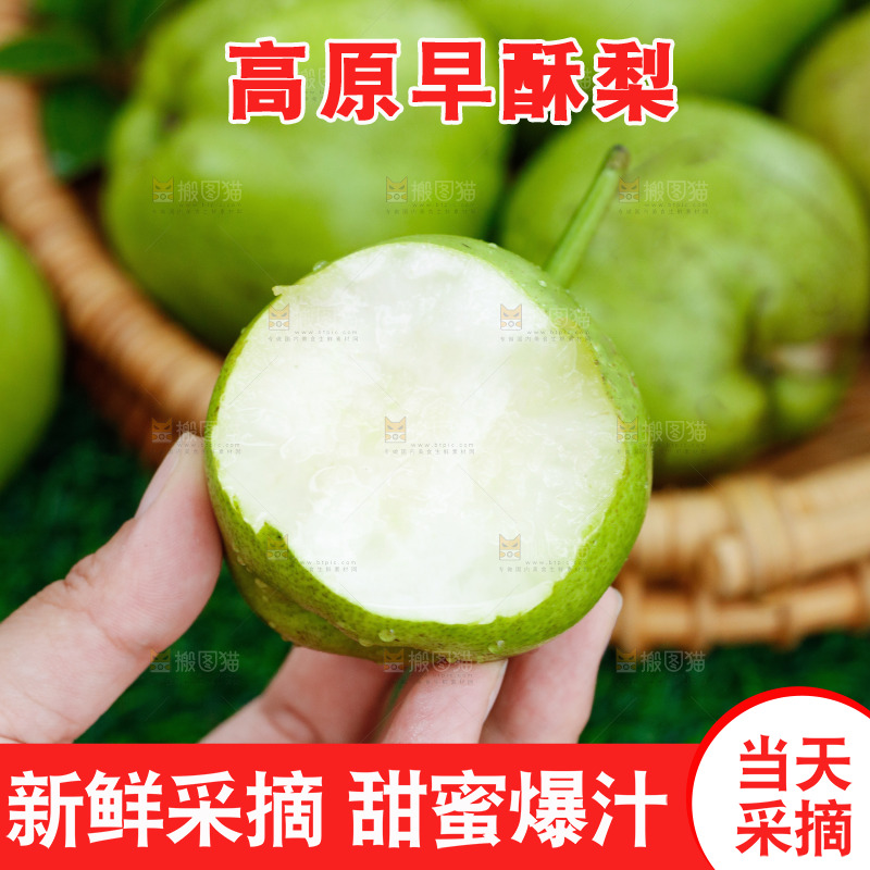 手里拿着早酥梨