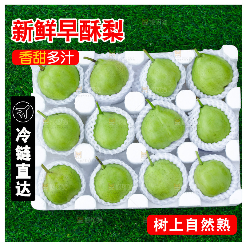 草地上的一箱早酥梨