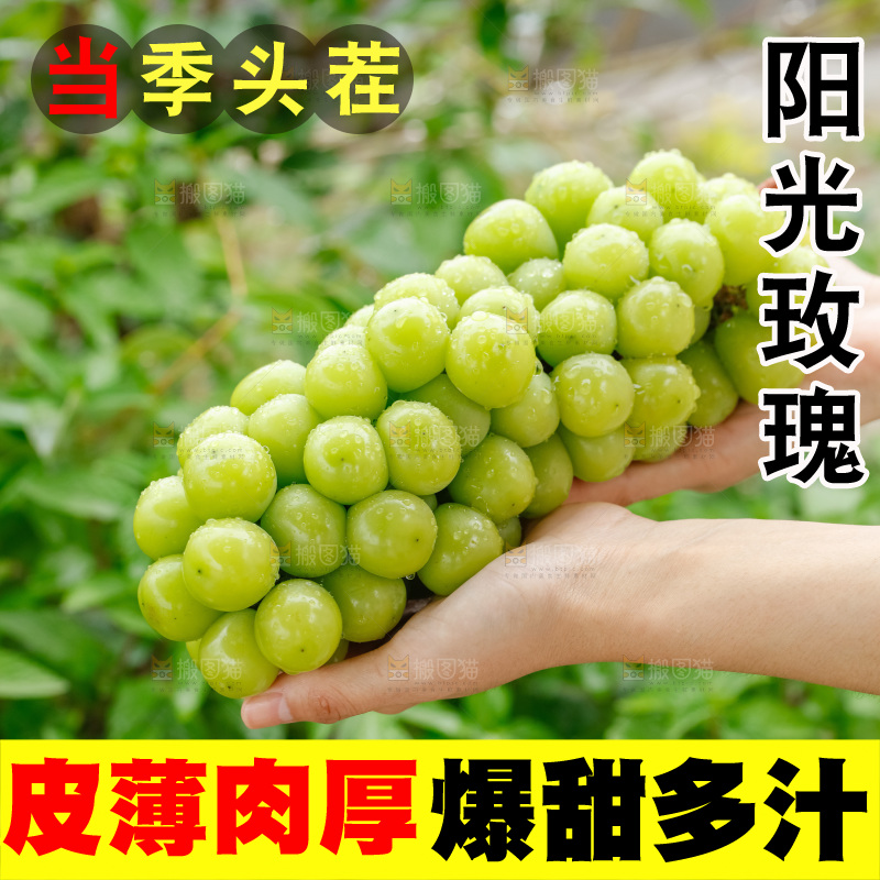 手里拿着阳光玫瑰