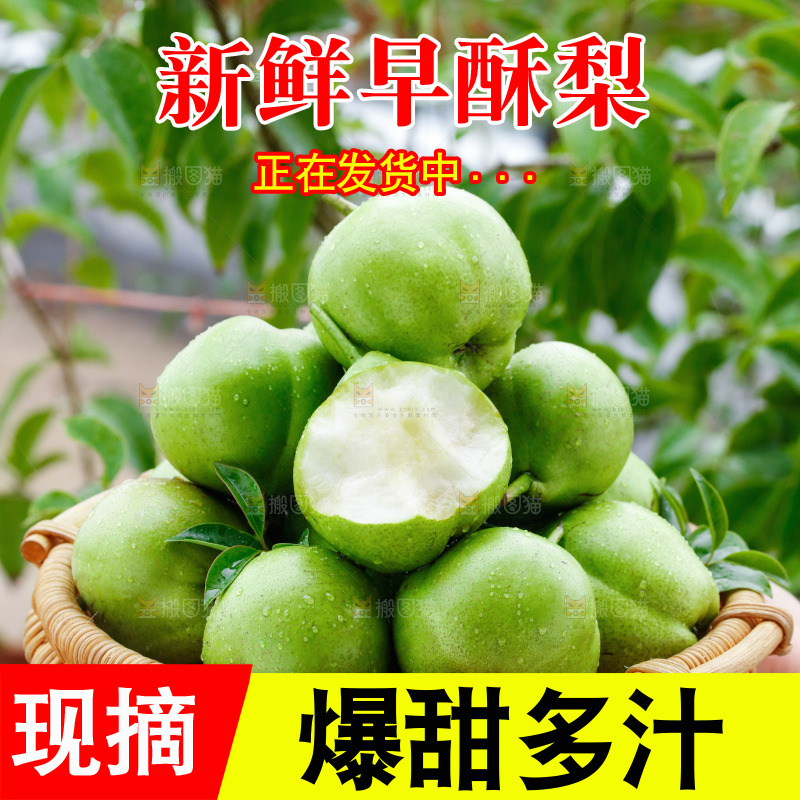 手里拿着早酥梨