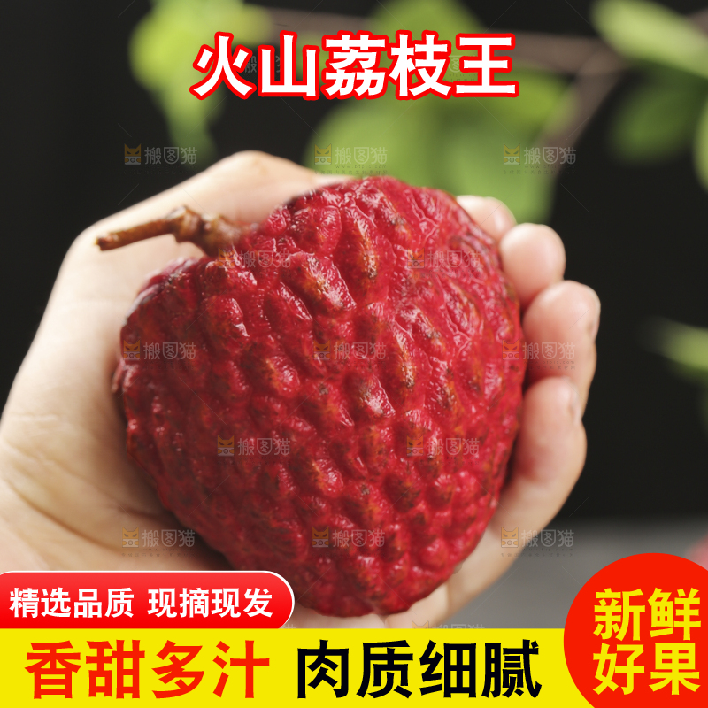 深底上的荔枝王