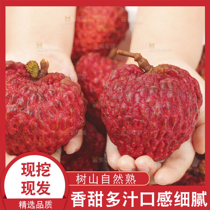 深底上的荔枝王