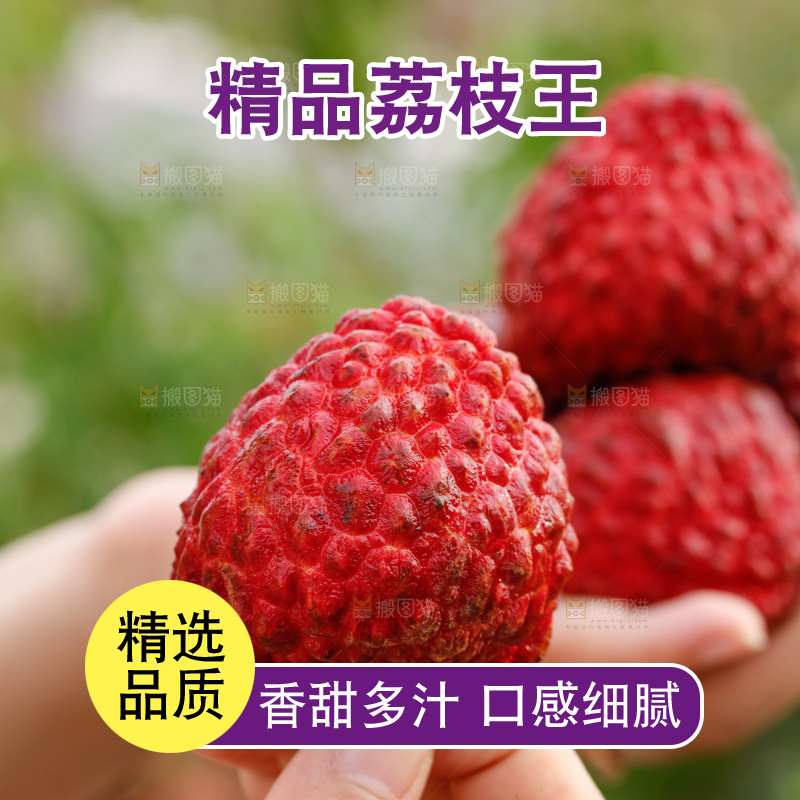 手里拿着荔枝王