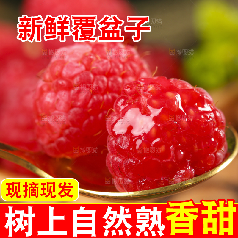 浅底上的新鲜覆盆子