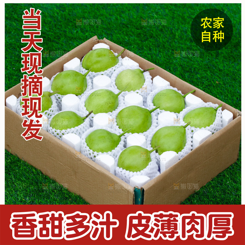 草地上的一箱早酥梨
