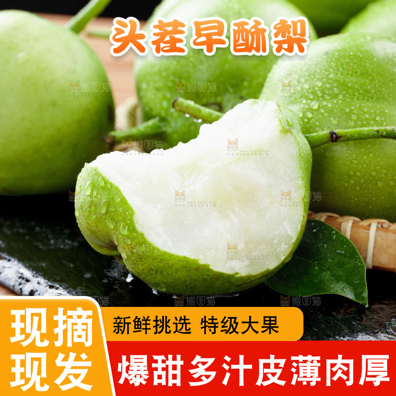 浅底上的早酥梨