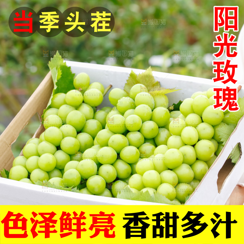 手里拿着阳光玫瑰