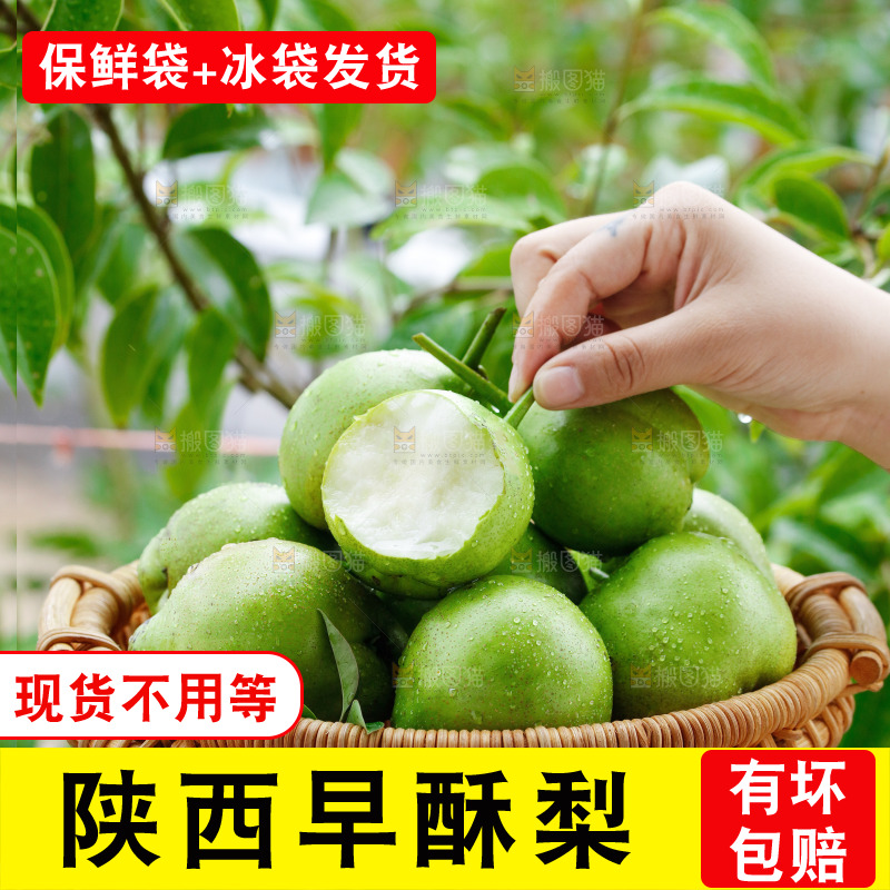 手里拿着早酥梨