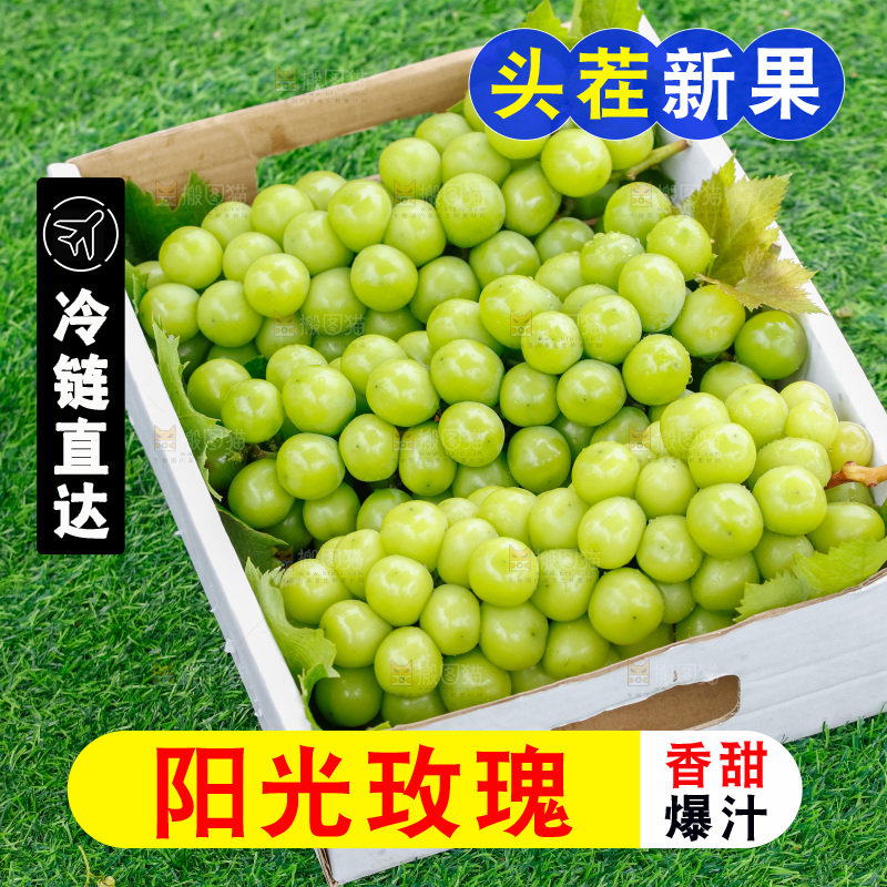 草地上放着阳光玫瑰青提