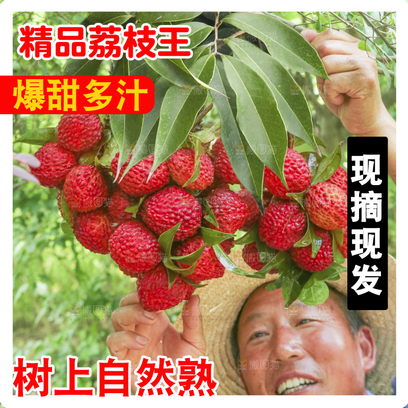 手里拿着荔枝王