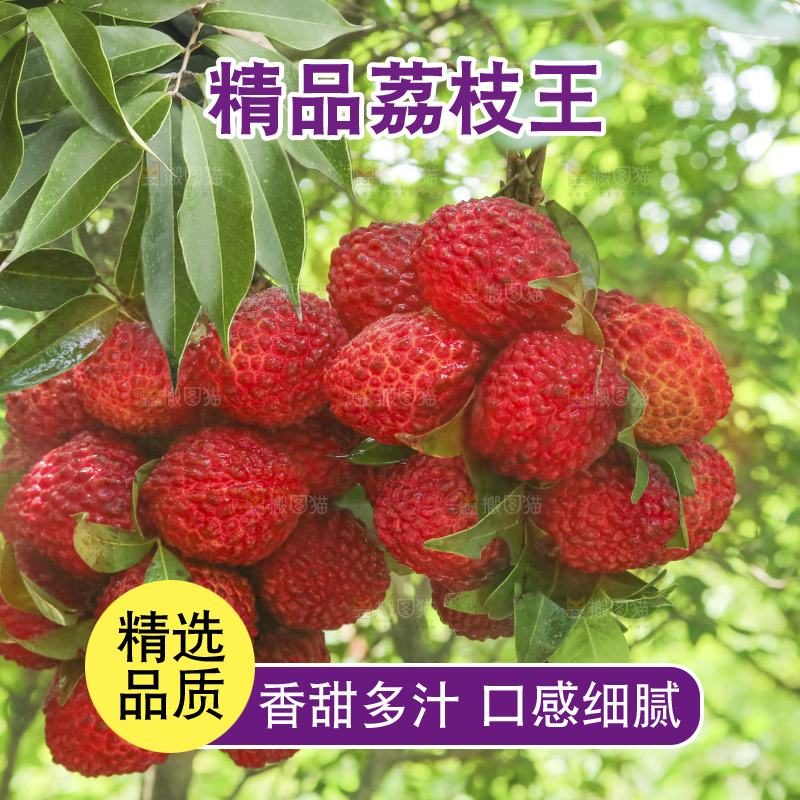 手里拿着火山荔枝王