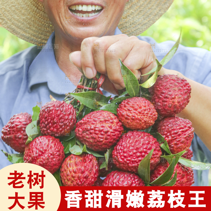 手里拿着火山荔枝王