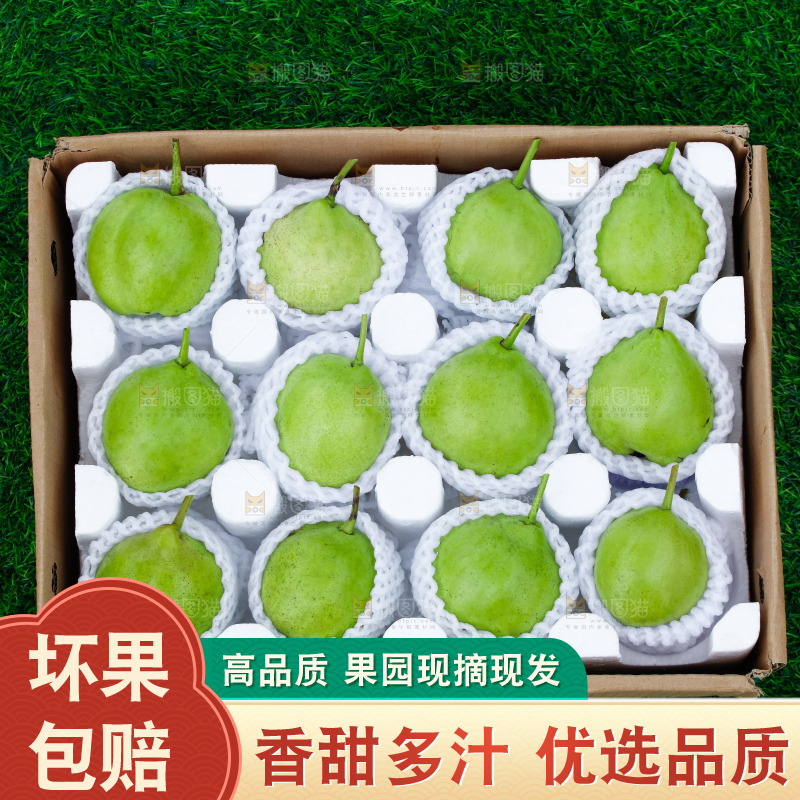 草地上的一箱早酥梨