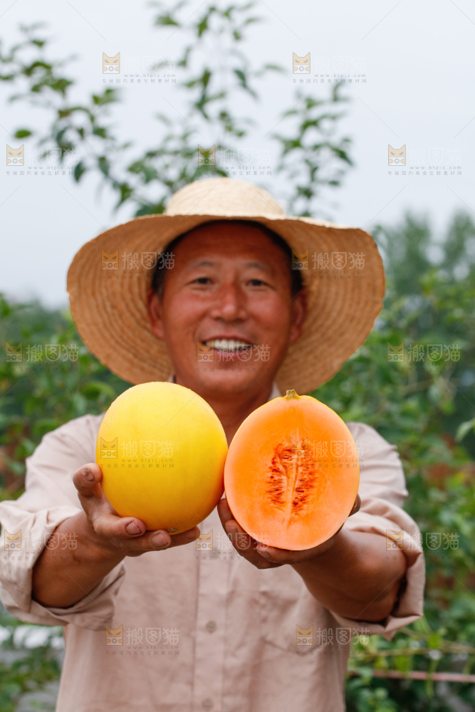 手里拿着的黄河蜜瓜